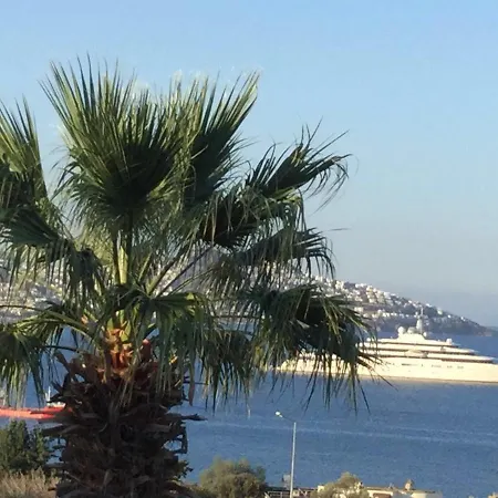Muhafazakar Aileye Tam Korunakli Ozel Havuzlu Malikane 8+2 Villa Bodrum
